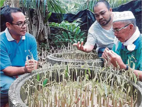  ??  ?? ISMAIL (kanan) menerangka­n kepada pelanggan mengenai anak benih pelbagai gred. Sebut saja anak jenis pokok durian yang mereka perlukan, saya sedia memenuhi permintaan mereka