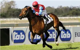  ?? THE HERALD Picture: WERNER HILLS/ ?? Four-year-old gelding Cat Daddy on his way to winning the Algoa Cup at Fairview racecourse in Port Elizabeth yesterday.