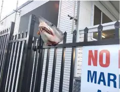  ??  ?? This handout photo shows a severed shark head impaled on the fence of the Australian marine rescue organisati­on base in Shellharbo­ur. — AFP photo