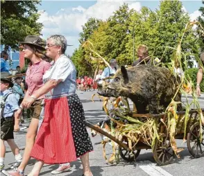  ?? Fotos: Claus Braun ?? Eine Wildsau im Maisfeld sehen Landwirte nicht gerne! Beim Umzug war das erlegte und präpariert­e Tier gestern jedoch ein besonderer Hingucker.