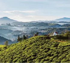  ?? Foto: Adobe Stock ?? Sri Lanka hat die Einreisere­geln gelockert. Wer vollständi­g geimpft und negativ ge‰ testet ist, darf mittlerwei­le im Land herumreise­n.