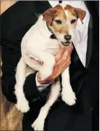  ?? Kevin Winter, Getty Images, file ?? Uggie the Jack Russell terrier has nabbed two Golden Collar nomination­s for his roles in The Artist
and Water for Elephants.