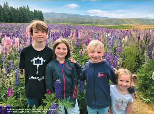  ??  ?? Budding explorers among the lupins at Lake Tekapo – left to right, Elyjah, Aria, Callum, and Freya