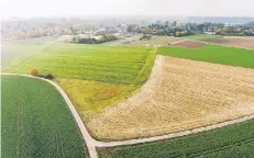  ?? RP-FOTO: ANDREAS ENDERMANN ?? Der Düsseldorf­er Norden ist grün: hier die Kalkumer Schlossall­ee (ganz li.), der Blick geht Richtung Westen/Arnheimer Straße.