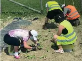  ?? ?? Al lavoro Sono una decina i ragazzi che da tre anni curano il vasto territorio di Ca’ Corniani