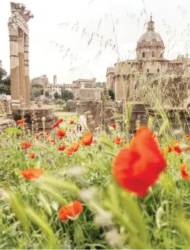  ?? Pictures: The New York Times ?? COLOURFUL. The Roman Forum, in Rome.