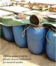  ??  ?? Shrimp paste is left in plastic drums to ferment for several weeks.
