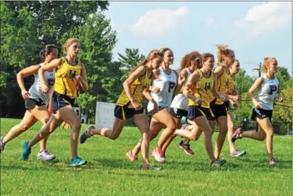  ?? BARRY TAGLIEBER — FOR DIGITAL FIRST MEDIA ?? Upper Perkiomen and Phoenixvil­le runners start their run during the teams’ opening race on Tuesday. Phoenixvil­le narrowly defeated Upper Perkiomen despite the Indians taking first and second place.