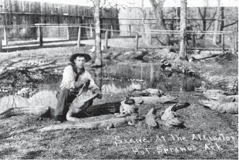  ?? (Submitted photo courtesy of the Garland County Historical Society) ?? A man holds an alligator’s jaws open in this scene from the Alligator Farm in the early 1900s.