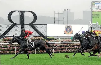  ??  ?? La Bella Diosa upset the favourites to win the Surround Stakes at Randwick on Saturday.