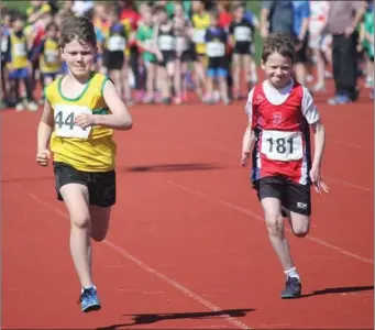  ??  ?? Cormac McEvoy races for the line in the boys U-10 sprint.