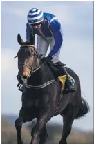  ?? (Photo: Patrick McCann/Racing Post) ?? Energumene one of the likely runners in this Sunday’s Hilly Way Chase at Cork.