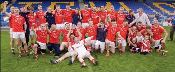  ??  ?? The Glenealy Senior hurling team who defeated Bray Emmets in the SHC decider in Joule Park, Aughrim.