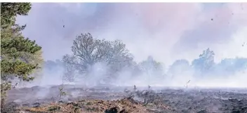  ?? ARCHIVFOTO: JANA BAUCH ?? Im April wurden beim Brand im niederländ­ischen Nationalpa­rk De Meinweg an der Grenze zu Niederkrüc­hten etwa 200 Hektar zerstört, überwiegen­d Heidelands­chaft.
