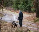  ?? Bild: ROGER LARSSON/ARKIV ?? SÖKER SPÅR. Polisen spärrade av ett stort område i skogen vid Marbäck utanför Halmstad, där mannen hittades död.