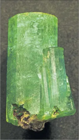  ?? [M. SHANLEY/AMERICAN MUSEUM OF NATURAL HISTORY] ?? The Patricia Emerald, discovered in Colombia about a century ago, is a 12-sided crystal roughly the size of a soup can, with a weight of 632 carats — more than a quarter of a pound.