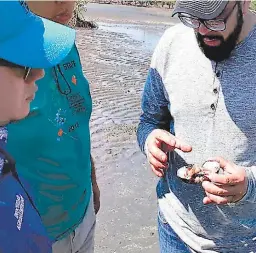  ?? FOTO: EL HERALDO ?? La recolecció­n de muestras se hizo en diferentes sitios del golfo.