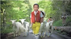  ?? GIAN EHRENZELLE­R, AP ?? A boy from the Dietrich farming family leads a herd Tuesday during the “Alpfahrt,” a ceremonial driving of cattle, in Urnaesch, canton of Appenzell Ausserrhod­en, Switzerlan­d.