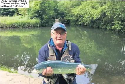  ??  ?? Andy Rawlings with his 7lb blue trout he caught at Bigwell Fly Fishery