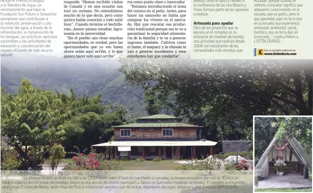  ??  ?? La altura en la zona va desde los 650 y los 1,200 metros sobre el nivel del mar. Frente al complejo, un bosque secundario que más de 30 años sin tocarse vigila las dos mil tareas del complejo. Blanco es una sección del distrito municipal La Salvia-Los...