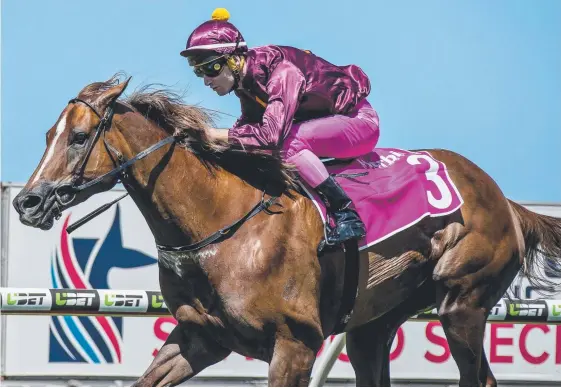  ?? Picture: JERAD WILLIAMS ?? It was a special weekend for trainer Les Kelly (below), who had three winners at the Coast including She's A Youeffoh,(above).