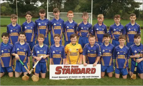  ??  ?? The Ballinastr­agh Gaels players before the New Ross Standard shield final in Monageer.