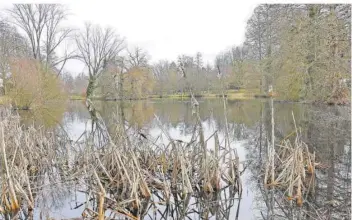  ?? FOTO: WOLFGANG HENN ?? Die Gustav-Clauss-Anlage, der St.Ingberter Stadtpark, im Winter.