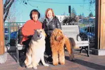  ?? CHERYL STRITZEL MCCARTHY/CHICAGO TRIBUNE/TNS ?? Tessa Rawitzer, right, with her Australian Labradoodl­e Arnold, in Bellingham, Wash., with Kathy Denney, left, after a dog walk. Rawitzer thought that purchasing Arnold for $2,500 would save her money in the long run.