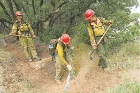  ?? Helen H. Richardson, Denver Post file ?? Members of the Montana Bitterroot Hot Shots use hand tools to create a fuel break around a home along La Plata County Road 205 near Durango in 2018.