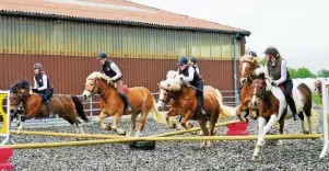  ??  ?? Kinder, die schon reiten können, dürfen sogar mit den Ponys springen.