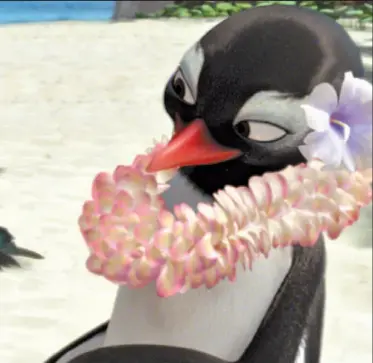 Animation S Ne Ew Wave Pressreader