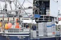  ??  ?? Crates of lobster are offloaded from the fishing vessel Bradley and Emma at the Lower East Pubnico wharf. While high winds and rough seas have hampered fishing efforts during the opening month of the lobster fishery southweste­rn Nova Scotia, a strong shore price is helping making up the difference. KATHY JOHNSON