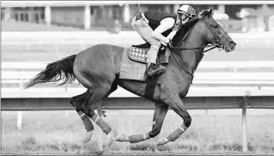  ?? BILL DENVER/EQUI-PHOTO ?? Authentic trains Wednesday at Monmouth. He comes into the Haskell off his first career defeat.