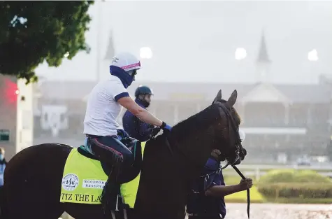  ?? Ap/darron Cummings ?? EN PREPARACIÓ­N. El ejemplar Tiz the Law durante una sesión de entrenamie­nto en la jornada de ayer en Churchill Downs con miras a la carrera del sábado.