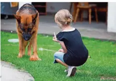  ?? FOTO: SILVIA MARKS/DPA ?? Erst im Alter ab etwa acht Jahren können Kinder Umgangsreg­eln mit einem Hund eigenständ­ig umsetzen.