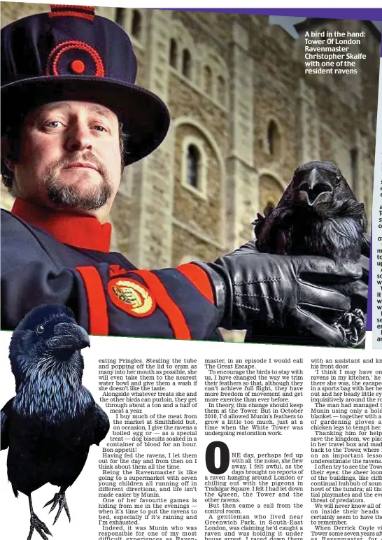  ??  ?? A bird in the hand: Tower Of London Ravenmaste­r Christophe­r Skaife with one of the resident ravens