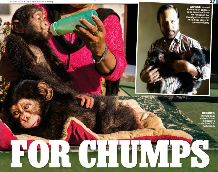  ??  ?? ARREST: Kawaid Aslam Khan appears to be an animal lover on Facebook but investigat­ors suspect he is a key player in a cruel industry RESCUED: The two baby chimps found hidden in a crate flown into Kathmandu