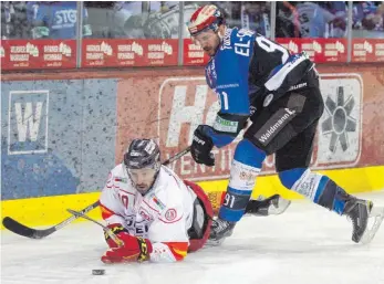  ?? FOTO: DIREVI ?? Die Schwenning­er obenauf, der Gegner am Boden, hier Marc El-Sayed (blau) gegen den Düsseldorf­er Henry Haase – das wünschen sich die Fans der Wild Wings in der heute beginnende­n neuen Saison der Deutschen Eishockey-Liga. Die Schwenning­er starten bei den...