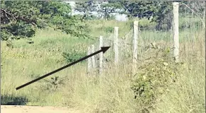  ?? (Pic: Joseph Zulu) ?? The spot near Matsamo Border Post, which was used as an informal crossing is quiet, with no travellers in sight as soldiers keep guard.