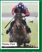  ??  ?? Paisley Park
from the suspended Gordon Elliott at Cullentra House stables and has had her first Festival winners