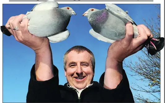  ??  ?? Confession: Eamon Kelly with his two birds from the Queen’s loft. He now faces a disciplina­ry inquiry by the National Flying Club