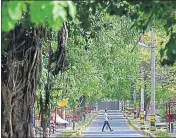  ??  ?? Around 11,000 out of 13,128 trees in Sarojini Nagar will be cut to make way for revamping govt accommodat­ions. SANCHIT KHANNA/HT