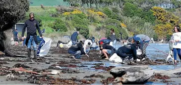  ?? ROBYN EDIE/STUFF ?? About 200 people attended a rubbish clean up on the beach at Monkey Island, near Orepuki in western Southland on Saturday.