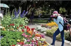  ?? PHOTO: BEV LACEY ?? BLOOMING TOP: The Carnival of Flowers attracts thousands of visitors to Toowoomba each year.