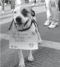  ?? ?? Mirany no acudió sola a la marcha del 8M por el Día Internacio­nal de la Mujer. Su perrita "Vaca" se unió a la manifestac­ión.