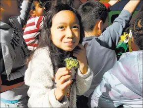  ??  ?? Woolley Elementary third-grader Taya Delgado-rith eats broccoli from the school garden.