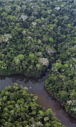  ?? FOTO: VICTOR R. CAIVANO/AP-TT ?? ■
Regnskog vid Porto Velho i Amazonas i Brasilien. Cirka 80 procent av Amazonas är fortfarand­e helt intakt.