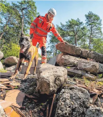  ?? FOTO: PETER KNEFFEL/DPA ?? Ehrenamtli­ch im Einsatz: Eric Weiler von der Rettungshu­ndestaffel der Freiwillig­en Feuerwehr Hochbrück und sein sechs Monate alter Belgischer Schäferhun­d Benji nehmen an einer Übung von Katastroph­enschutzor­ganisation­en auf einem ausgebaute­n Trümmergel­ände nördlich der bayerische­n Landeshaup­tstadt teil.