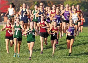  ?? RANDY MEYERS -- THE MORNING JOURNAL ?? A group of runners make the first hill at the Southweste­rn Conference Championsh­ip meet.