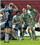  ??  ?? Winning ways: Chris Harris celebrates as Newcastle are awarded a penalty try